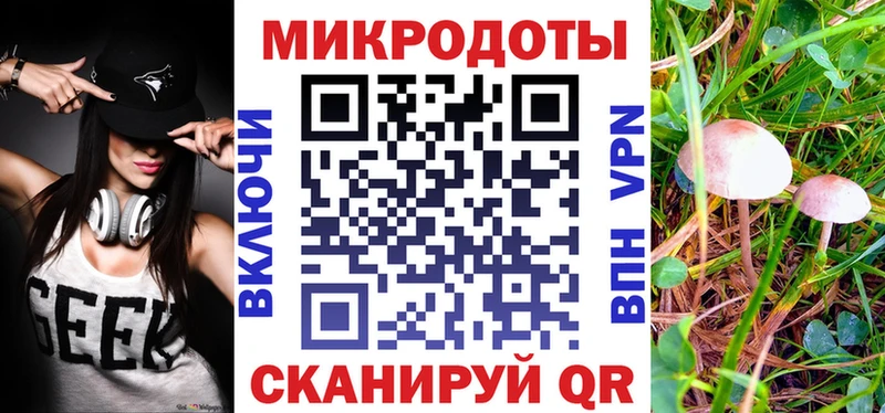 Псилоцибиновые грибы Psilocybe  Ижевск 